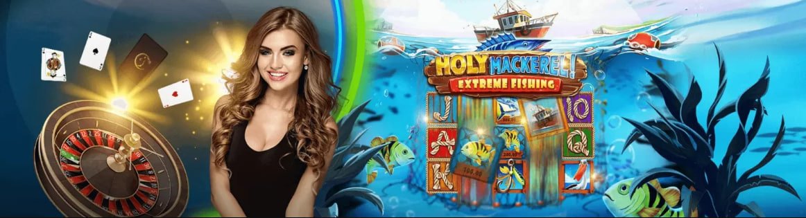 thomo988 – cá cược thể thao trực tuyến